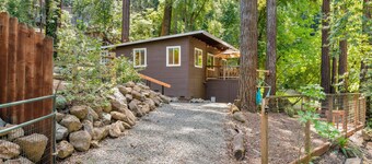 Faeya Grove - Charming Family Getaway! Remodeled, short drive to Russian River.