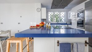 Eine moderne Küche mit blauer Arbeitsplatte, Edelstahlgeräten und Blick ins Grüne.