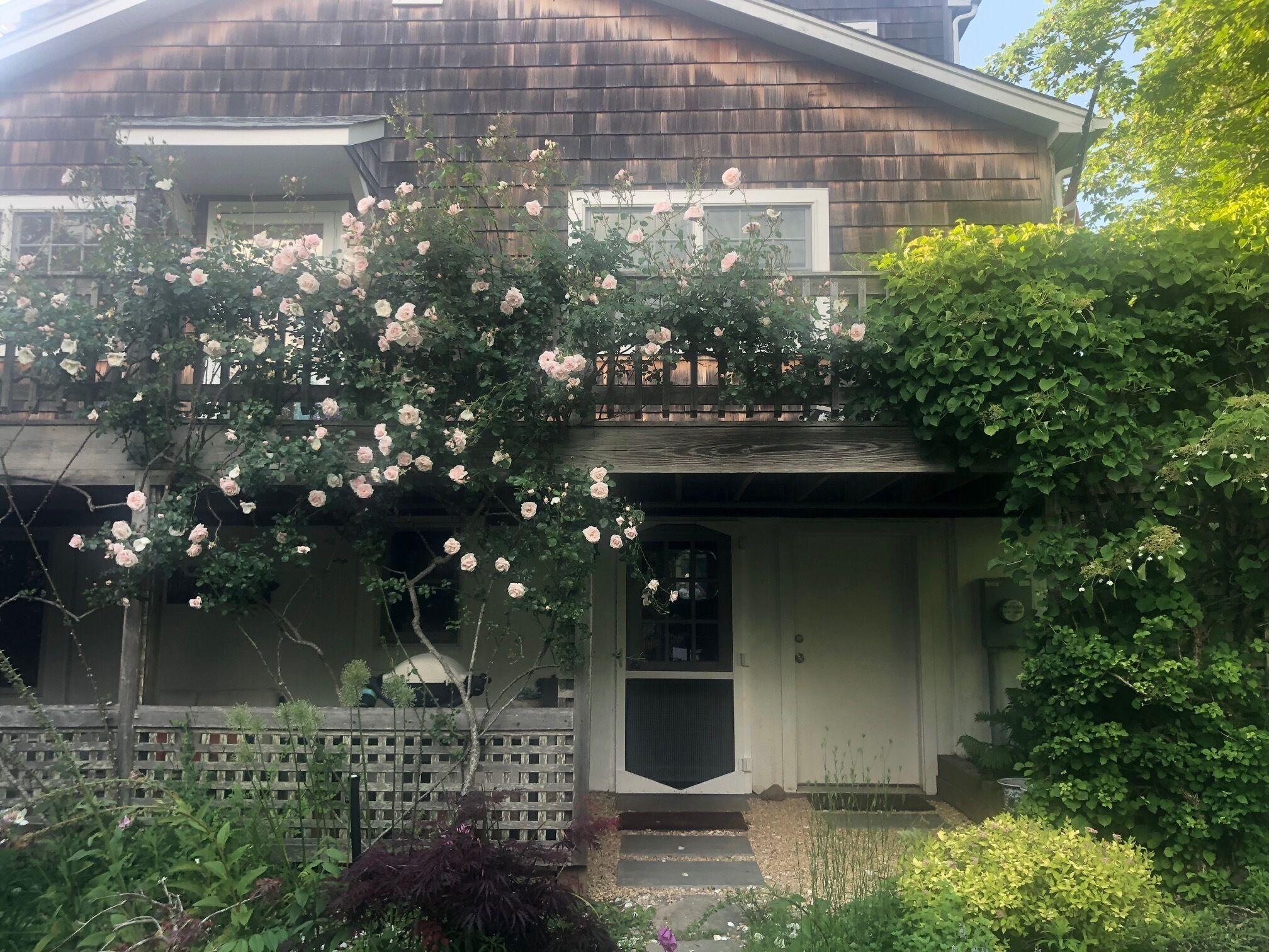 Montauk Sunset Cottage overlooking Garden! Walk to Train, Montauket and Duryea's