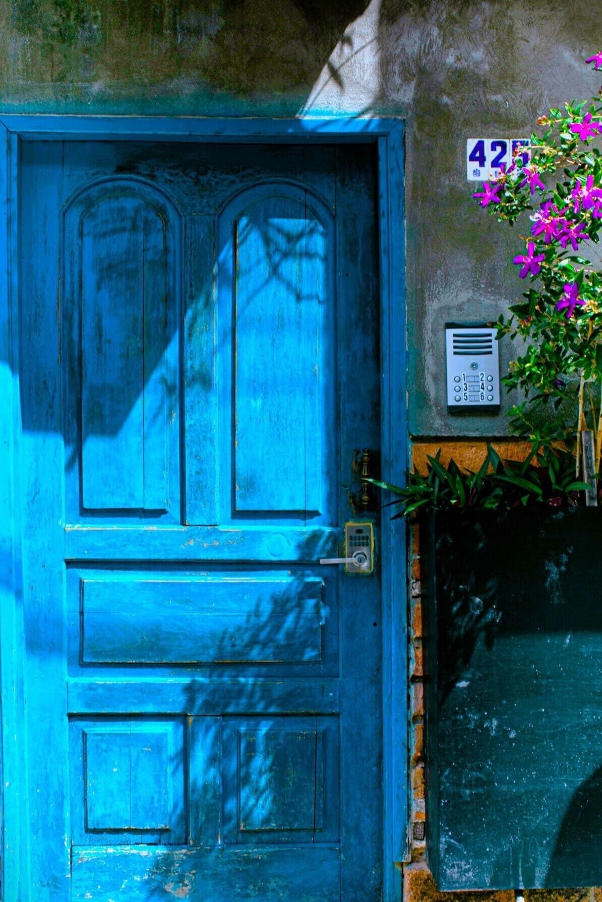 Photo - Casa Pancha Puerto Vallarta Centro - Adults Only