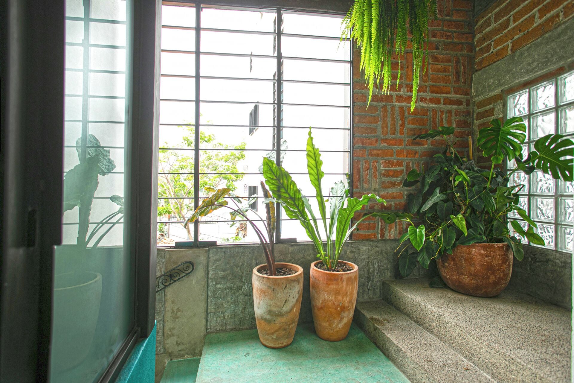 Photo - Casa Pancha Puerto Vallarta Centro - Adults Only