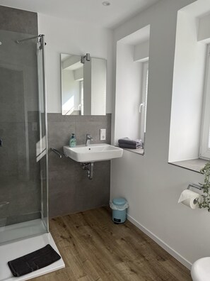 Shower, hair dryer, towels