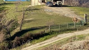 Eksteriør