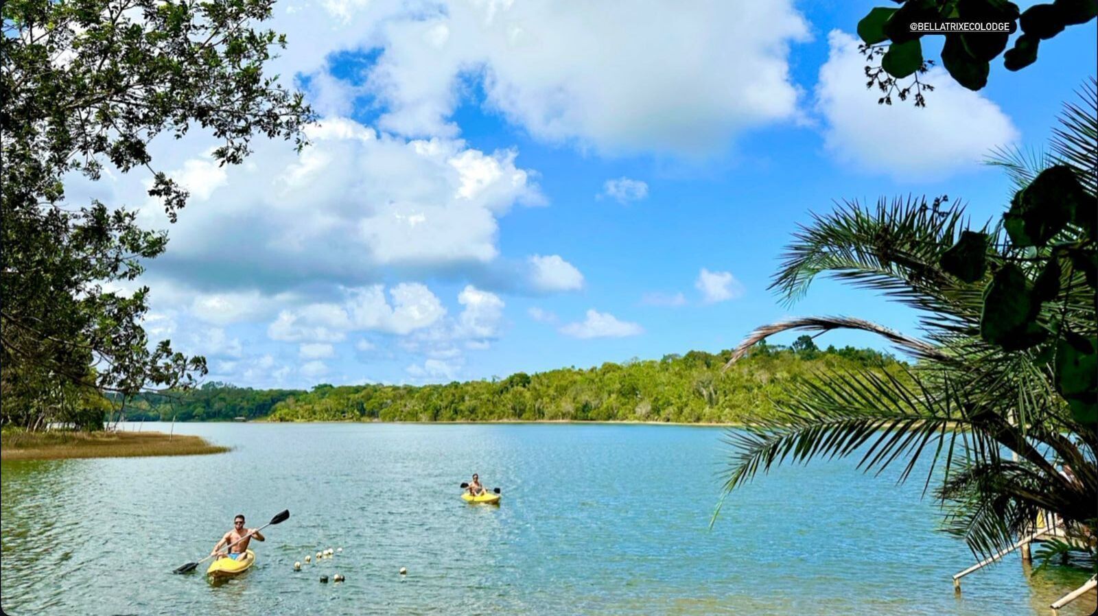 Un lago tranquilo con kayaks, rodeado de abundante vegetación y un cielo despejado.