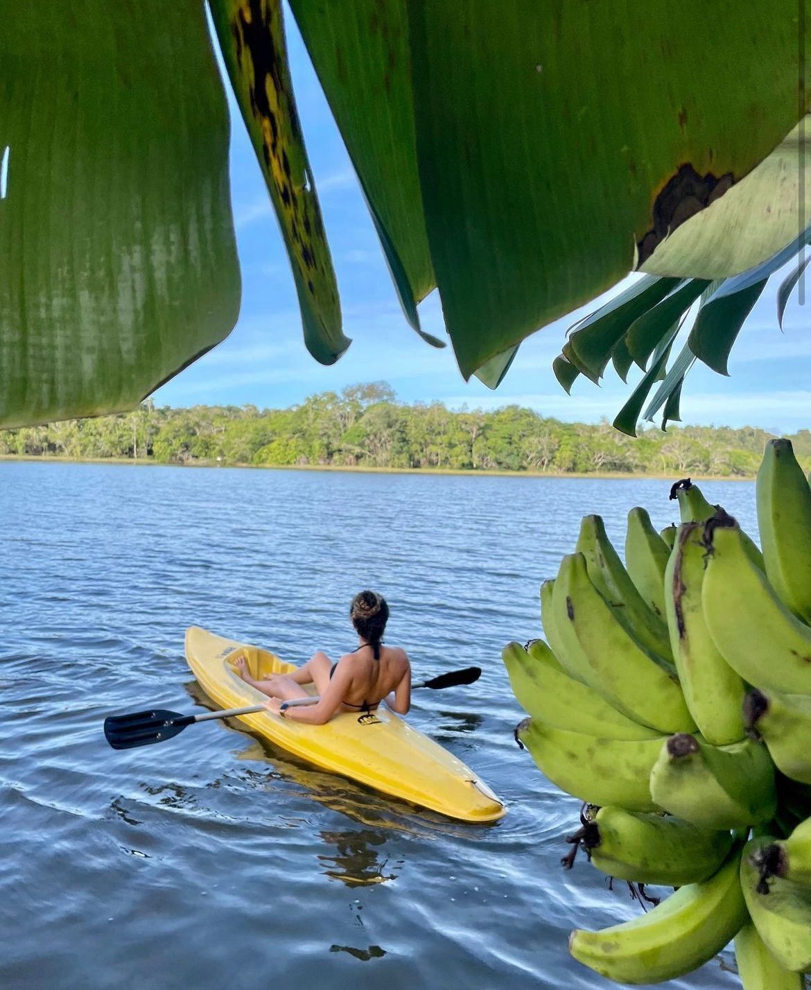 Eine Person paddelt mit einem Kajak auf ruhigem Wasser, im Hintergrund eine bewaldete Uferlinie.