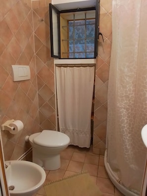 Une salle de bain équipée de toilettes, d’un bidet et d’un rideau de douche.