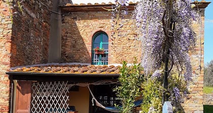 Poderino La Noce - Room with Private Bathroom and Patio, Wi-Fi, View and Garden