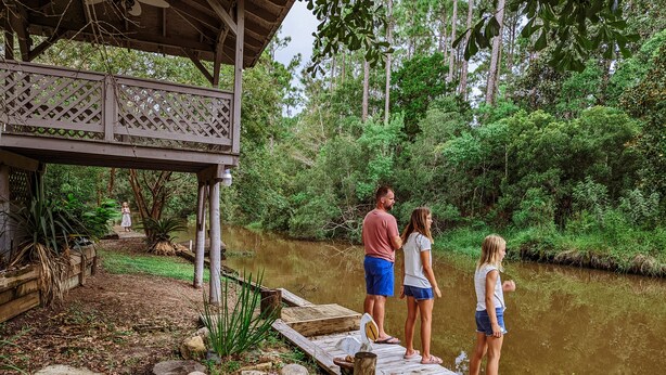 Une jetée en bois s’étendant au-dessus d’une rivière paisible, entourée d’une végétation luxuriante et d’arbres.