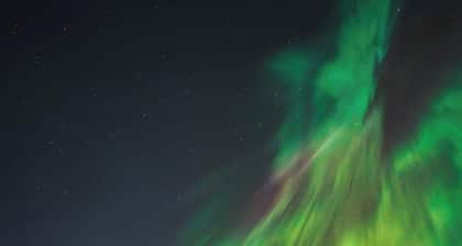 Beachfront Cabin – Pet-Friendly Romantic Escape w/ Views & Huge Deck