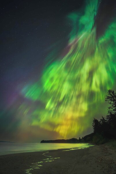 Beachfront Cabin – Pet-Friendly Romantic Escape w/ Views & Huge Deck