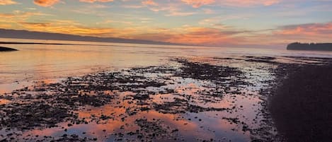 在海滩