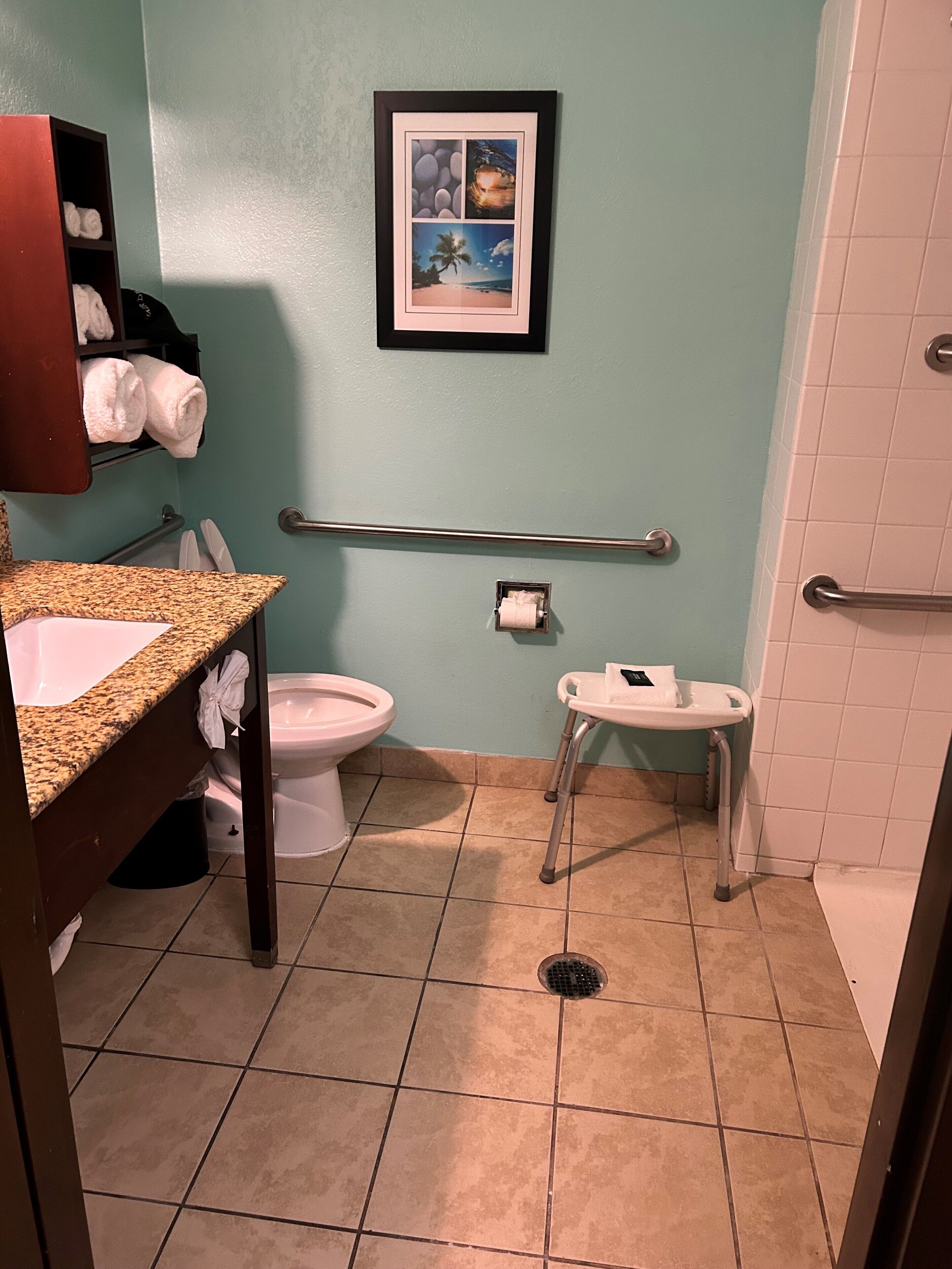 A bathroom with a toilet, sink, and grab bars. There is a framed picture on the wall and towels on a shelf.