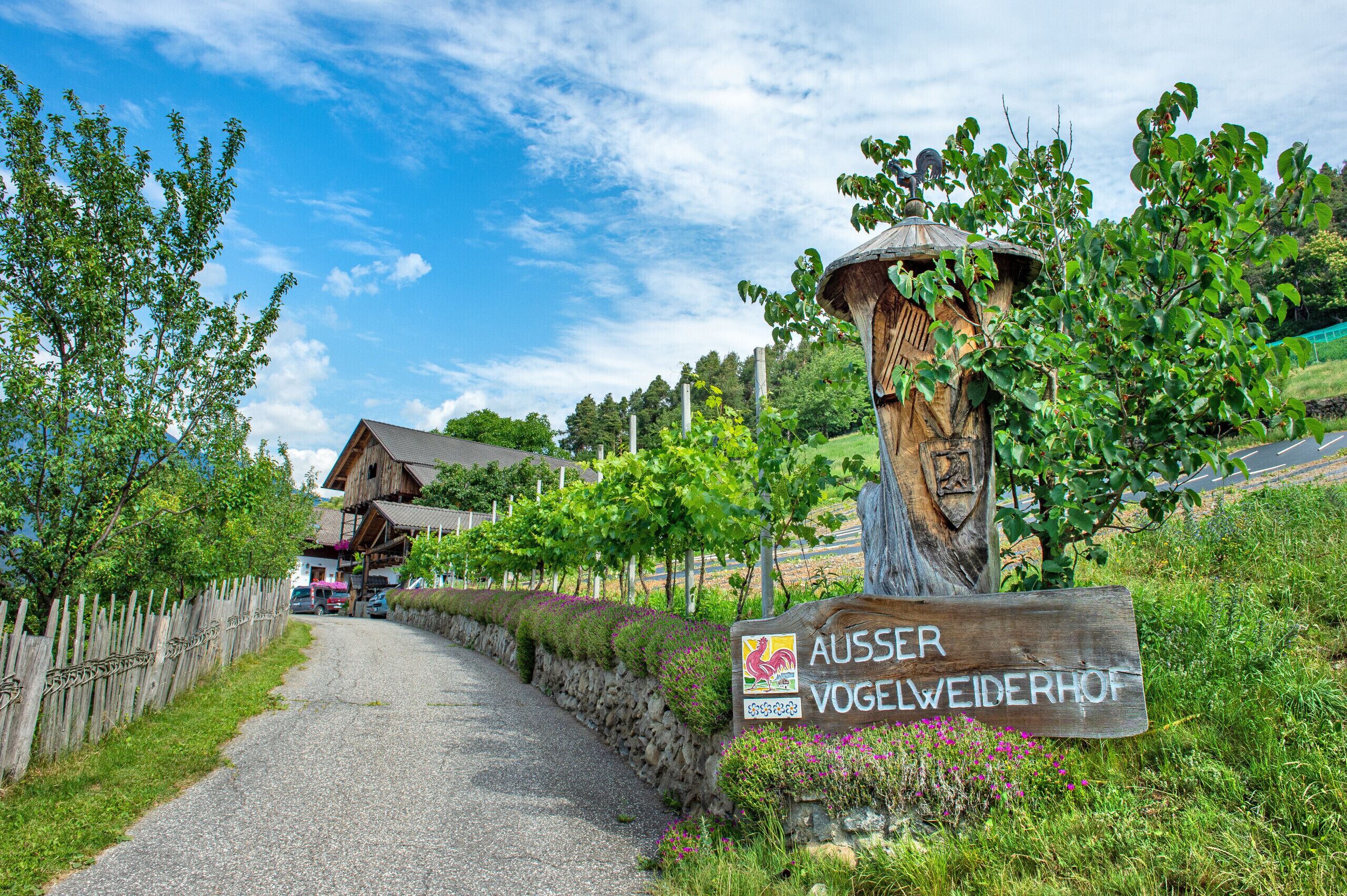 Parco della struttura