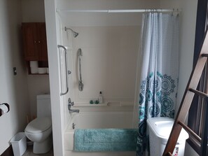 Combined shower/tub, hair dryer, towels, soap