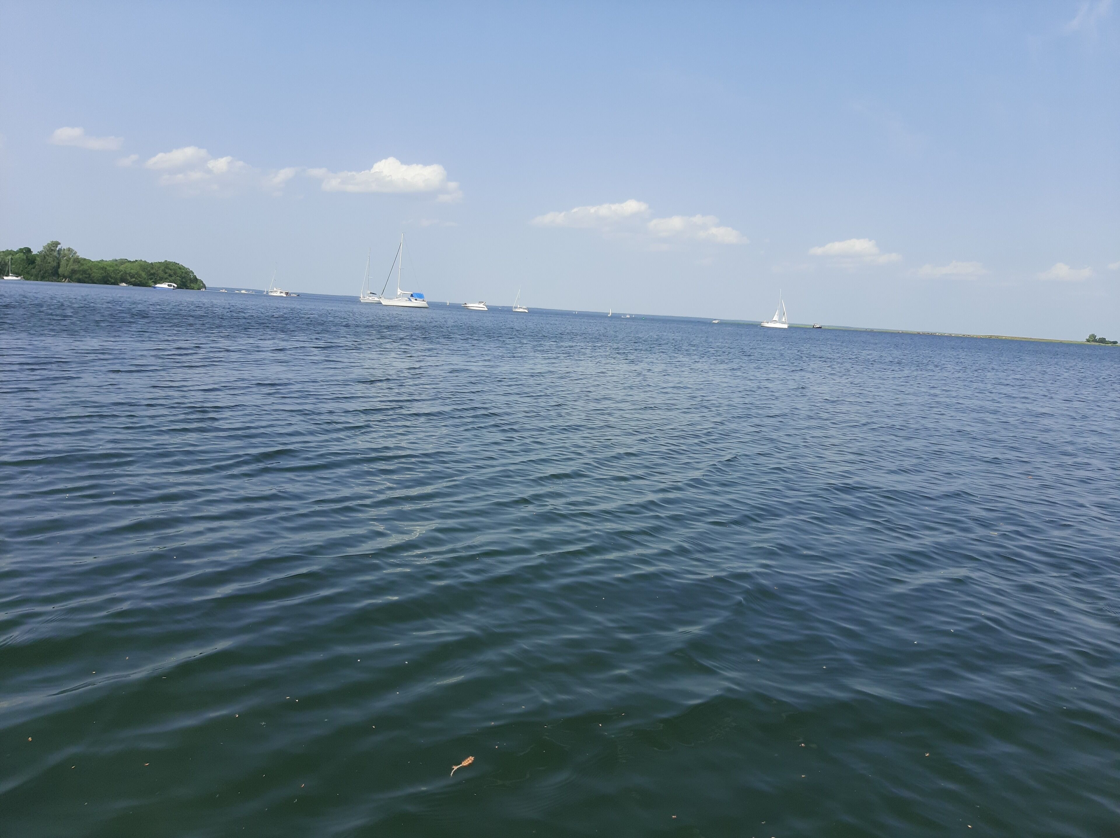 Ruhige See mit mehreren Segelbooten und einer fernen Küstenlinie.
