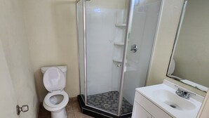 Un baño con inodoro, ducha envuelta en vidrio y lavabo con espejo.