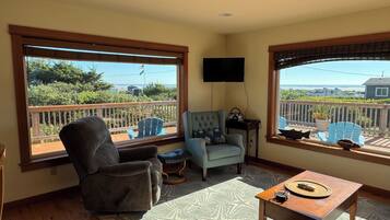 Smart TV, fireplace, books, music library
