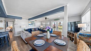 TV, video games, DVD player, books