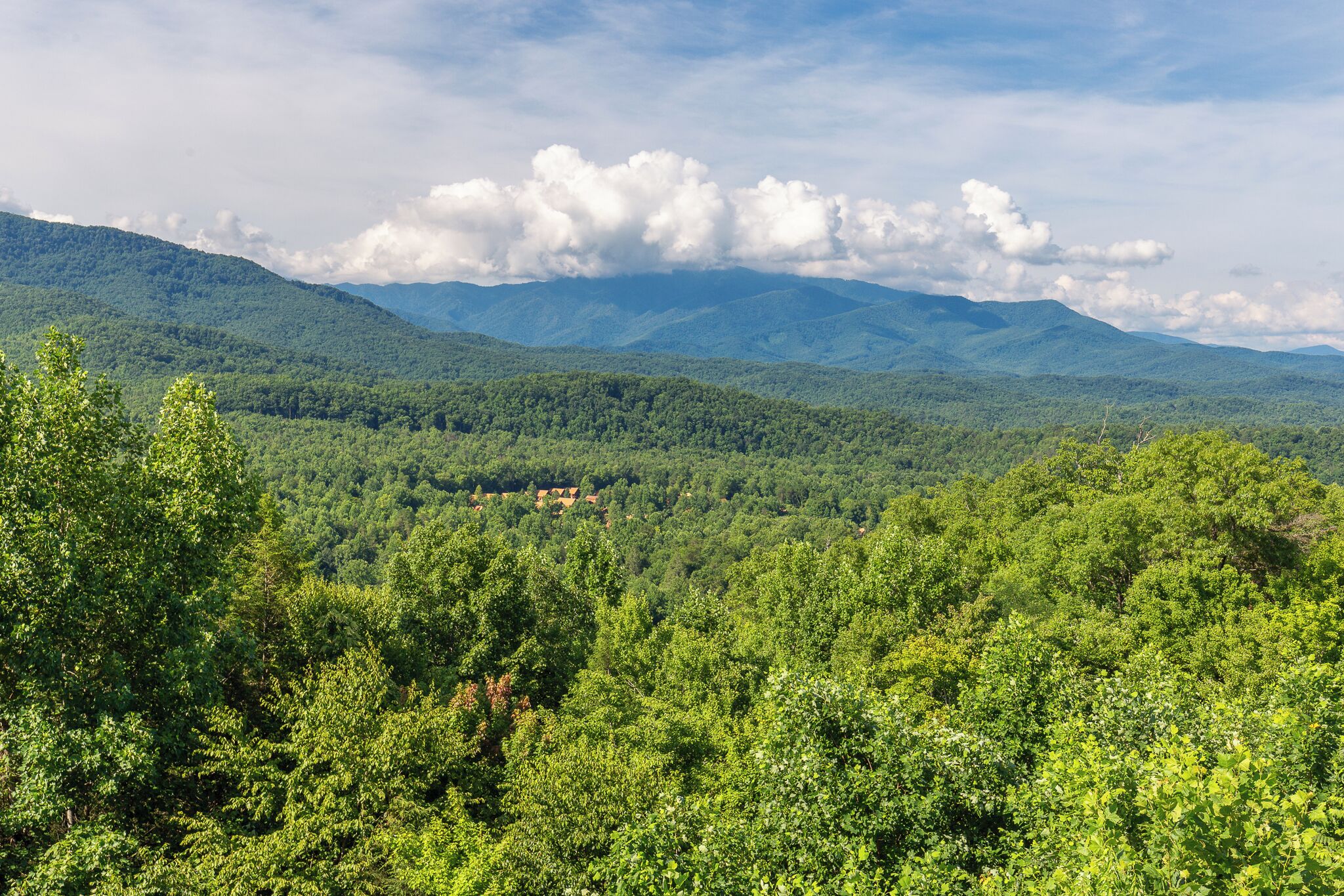 A mountainous landscape with dense forest coverage and a clear sky.