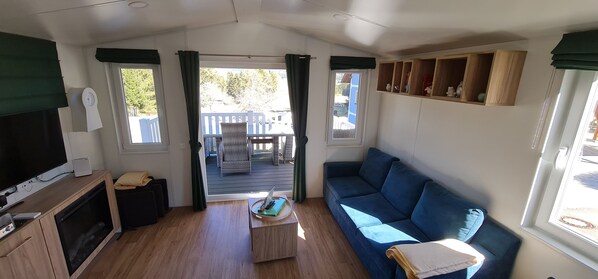 Smart TV, fireplace, books, stereo