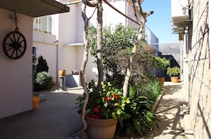 Stroll through a charming, tree-lined alleyway surrounded by historic buildings.