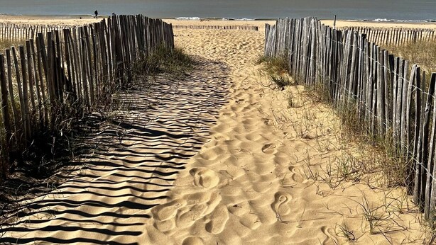 Ein sandiger Pfad, der zu einem Strand führt, gesäumt von Holzzäunen.