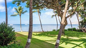 Un jardín tropical con palmeras y vistas al océano.
