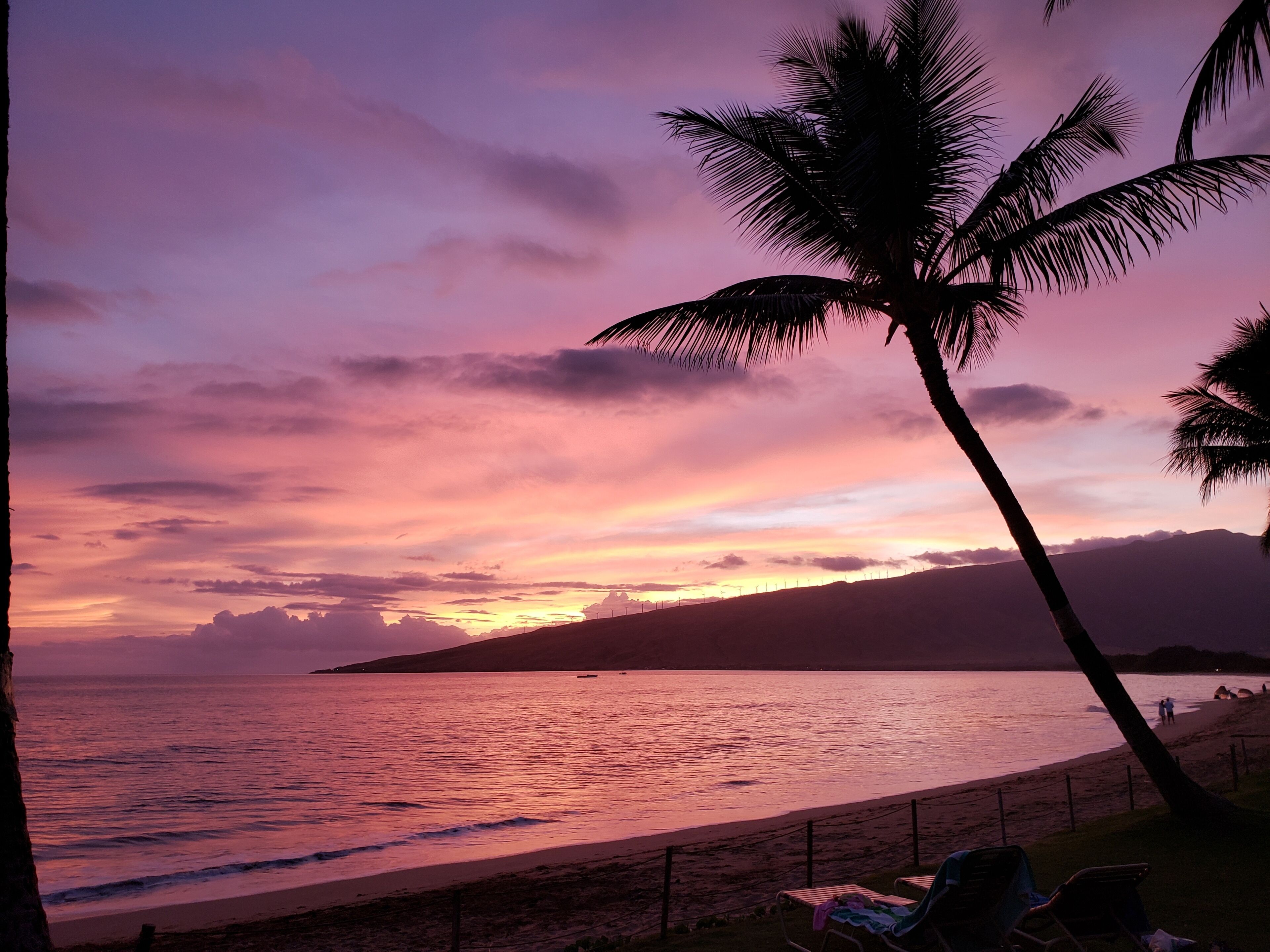 Une plage au coucher du soleil, avec des palmiers, une clôture et une chaise.