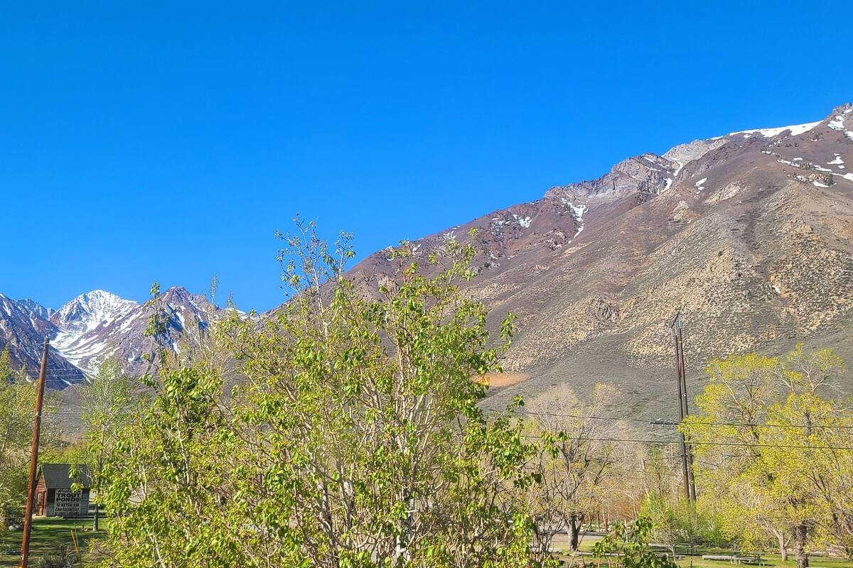 Paisagem de montanha com céu claro, uma cabana de madeira e uma placa.
