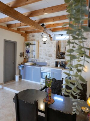 Fridge, microwave, oven, coffee/tea maker