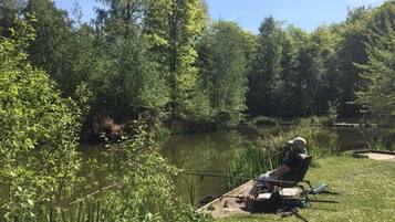 En person fisker ved en rolig sø omgivet af frodig vegetation.