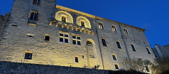 Large, comfortable 8-bedroom villa