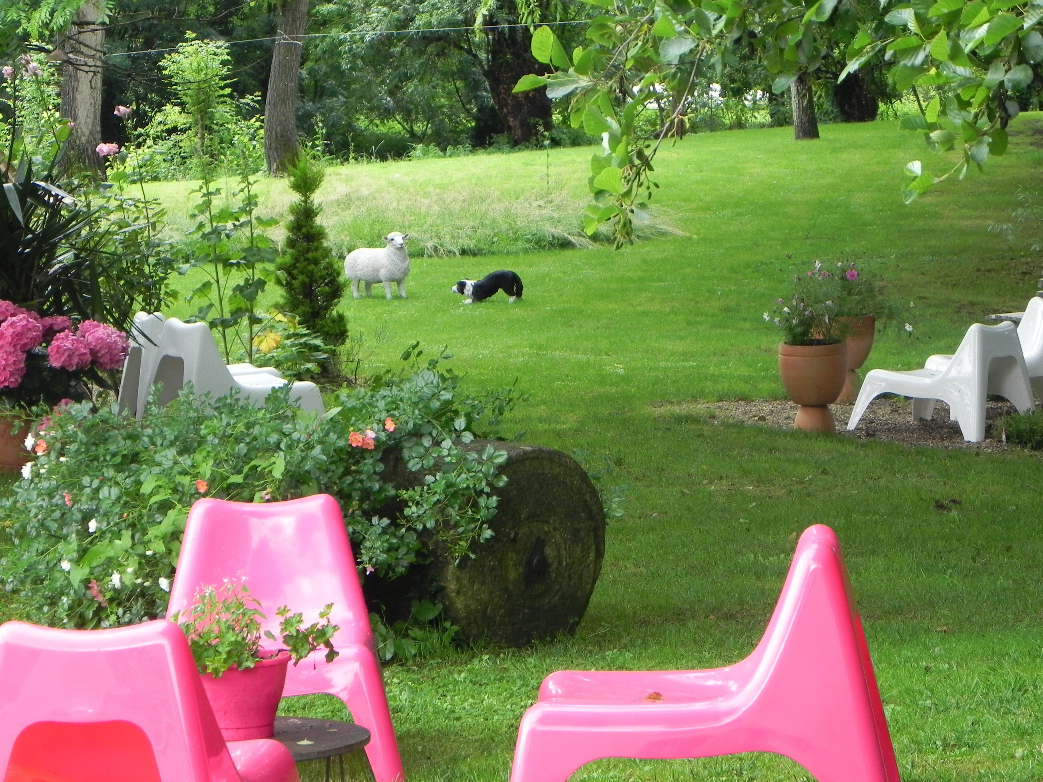 Terrain de l’hébergement 