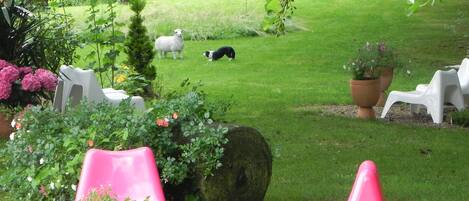 Terrain de lâhĂ©bergement