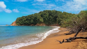 A beach with clear blue water, sandy shore, and a forested hill in the background.