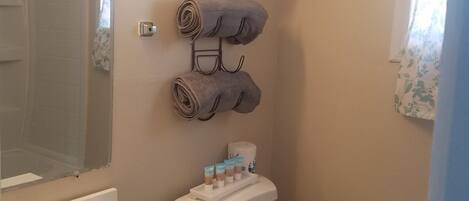 A bathroom with a toilet, sink, and towel rack.