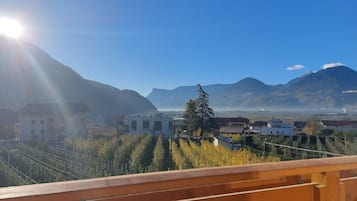 Un balcone con vista su un paesaggio montuoso, edifici e un vigneto.