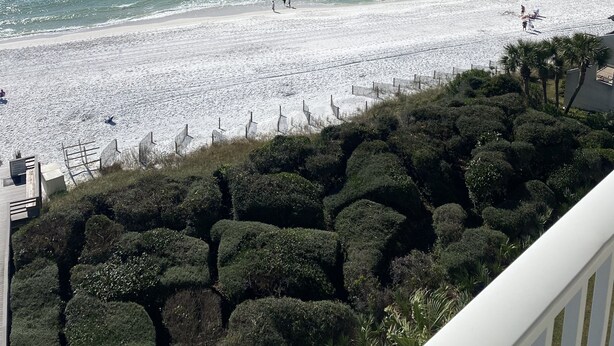 A beach with a clear view of the ocean, a sandy shore, and neatly trimmed bushes in the foreground. - Great cozy beach getaway (Santa Rosa Beach)
