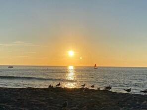 Tæt på stranden, liggestole, badehåndklæder