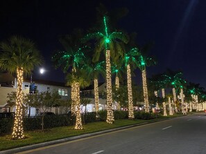 A street lined with palm trees adorned with string lights, a clear road, and buildings in the background. - Cute Vacation home In the heart of Venice (Venice)