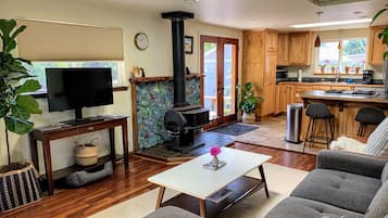 Smart TV, fireplace, books