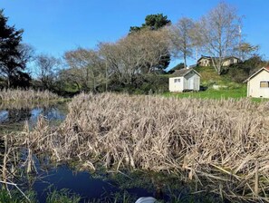 Un cadre paisible au bord de la rivière, avec un petit bâtiment blanc, probablement une maison ou un abri, entouré de hautes roseaux et d’arbres.