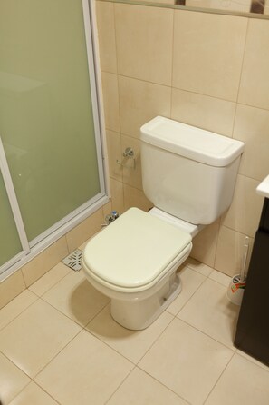 Shower, hair dryer, bidet, towels