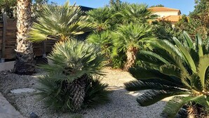A garden with palm trees, a stone pathway, and a building with a tiled roof in the background.