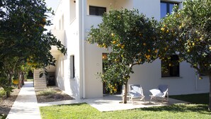 A modern building with a white exterior, a paved pathway, and two trees bearing fruit. - Spa Suite Villa dell'Eden C unit 2 with 5 beds, Cir 19082044C217077 (Gorgo Lungo)