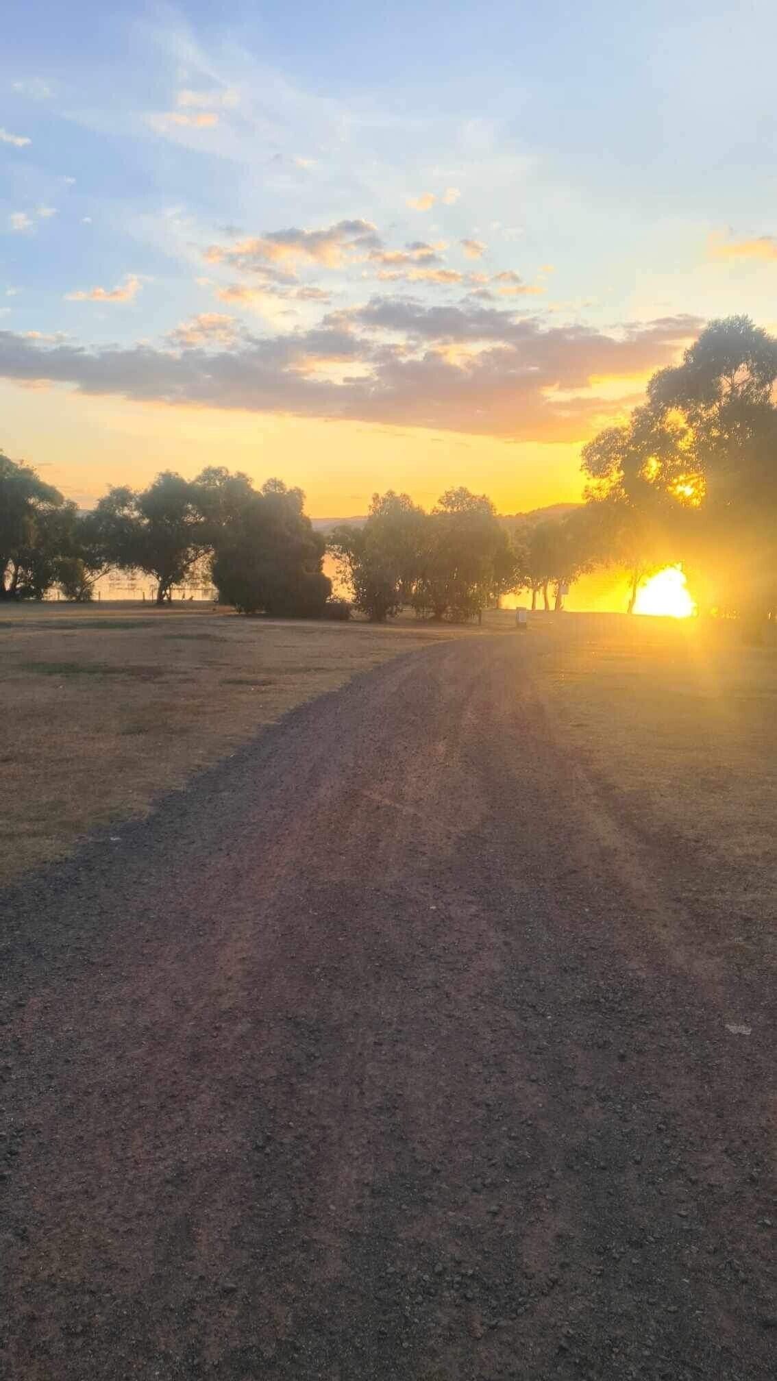 Ein Feldweg, der zu einem Sonnenuntergang führt, gesäumt von Bäumen.