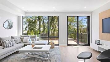 TV, fireplace, offices