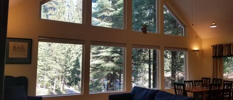 Télévision, cheminée, lecteur de DVD