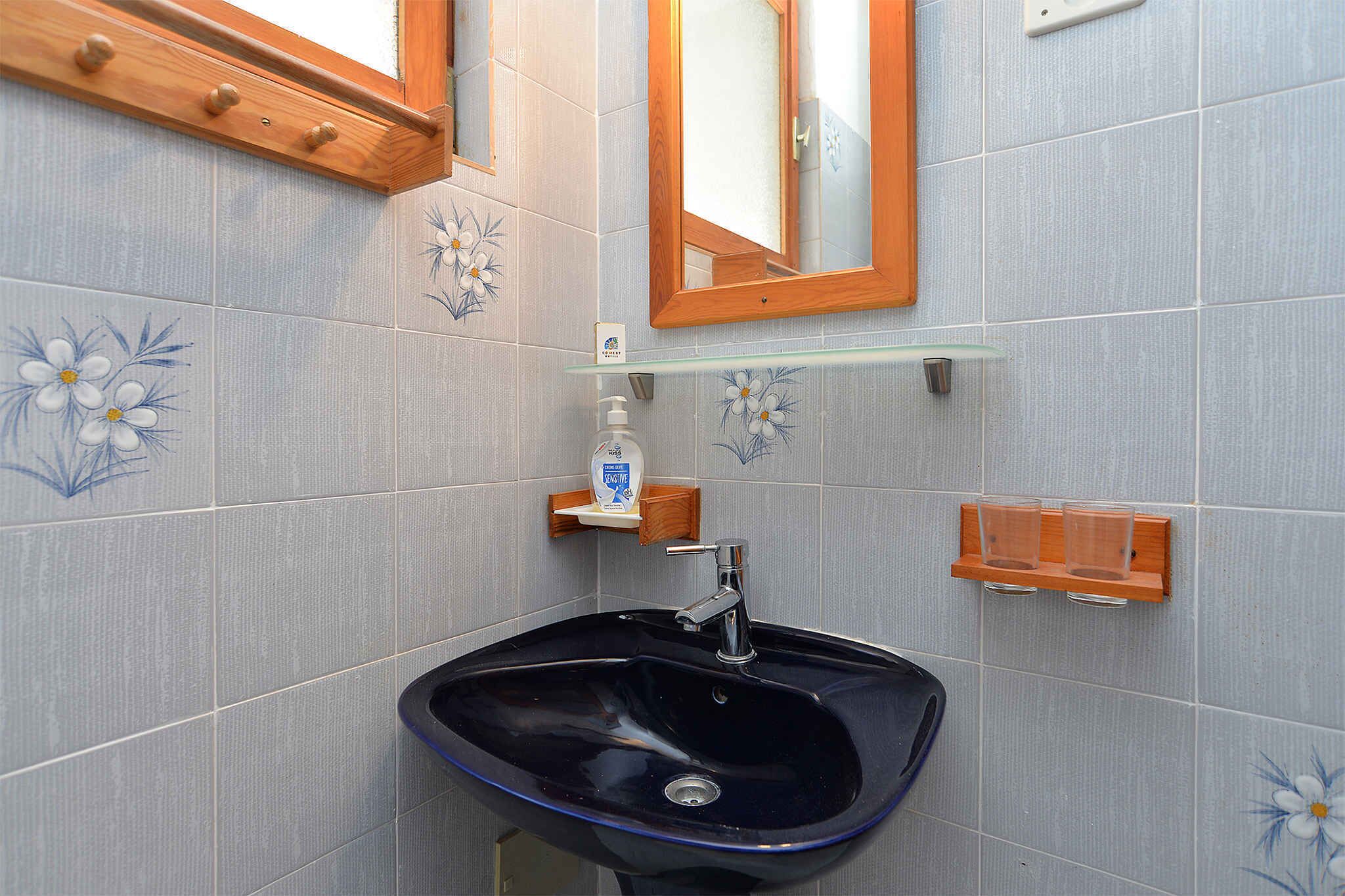 Ein Badezimmer mit einem dunkelblauen Waschbecken, einem spiegel mit Holzrahmen und einer Glasablage für Pflegeprodukte.