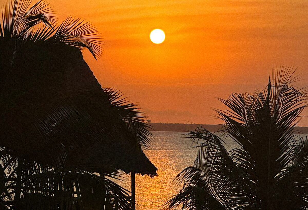 A sunset over water with palm trees silhouetted against the sky.
